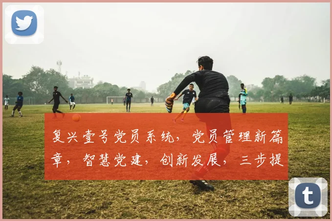 复兴壹号党员系统，党员管理新篇章，智慧党建，创新发展，三步提升组织活力
