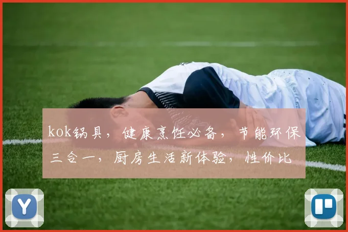 kok锅具，健康烹饪必备，节能环保三合一，厨房生活新体验，性价比之选