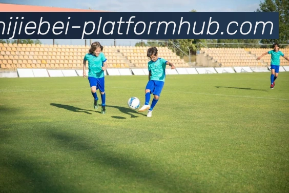 平台使命图